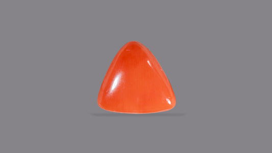 Natural Italian Red Coral (Moonga) 9.02 Carats