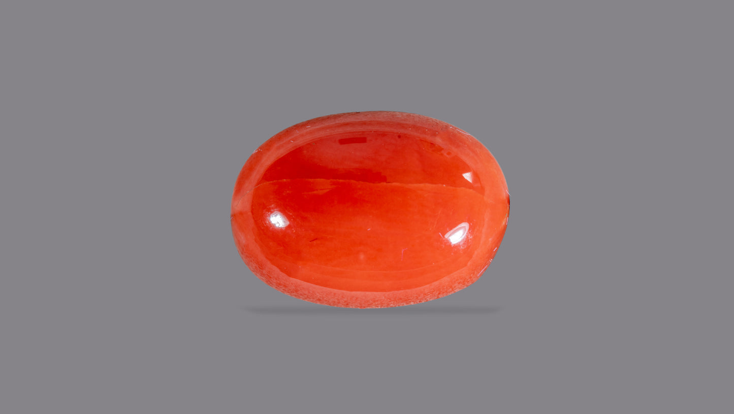 Natural Italian Red Coral (Moonga) 6.38 Carats