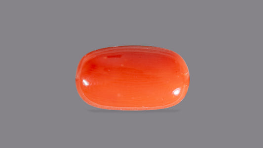 Natural Italian Red Coral (Moonga) 7.59 Carats