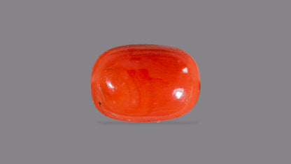 Natural Italian Red Coral (Moonga) 5.90 Carats