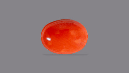 Japanese Red Coral (Moonga) 4.43 Carats