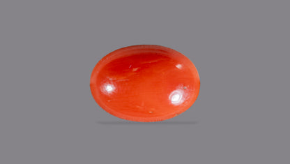 Japanese Red Coral (Moonga) 4.21 Carats