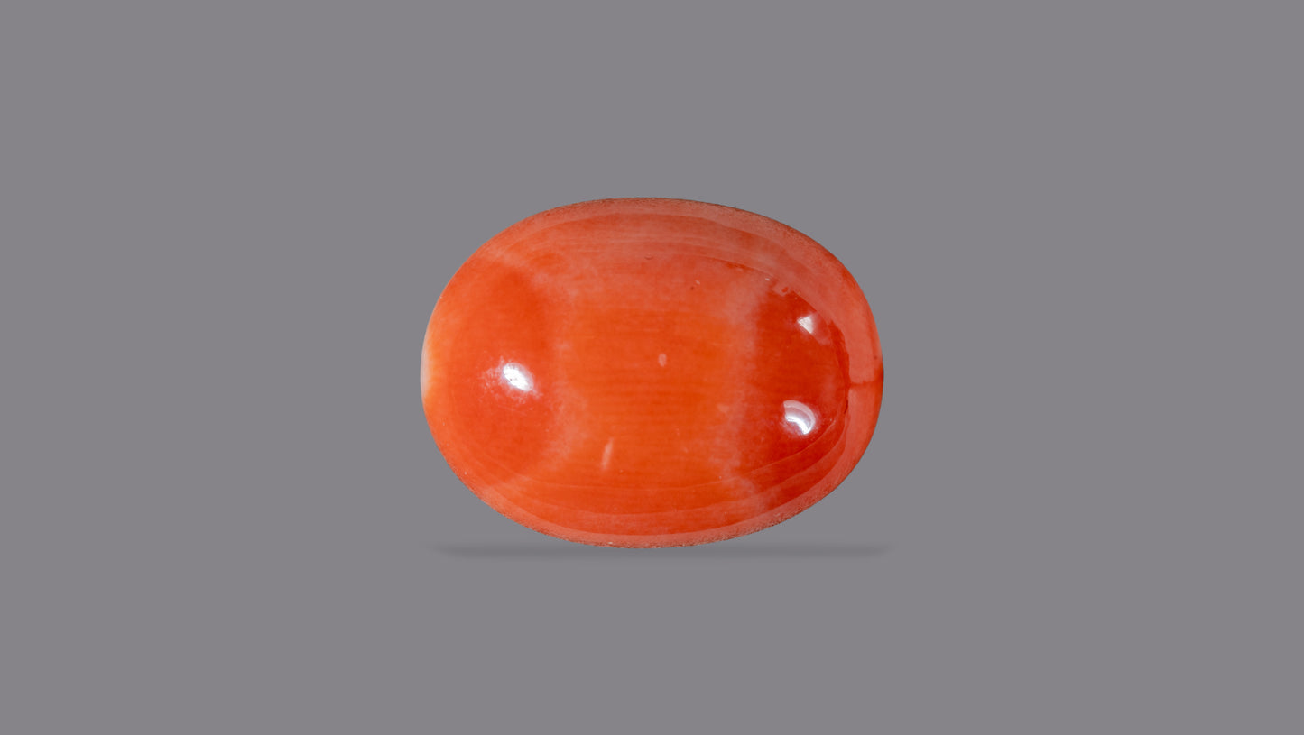 Japanese Red Coral (Moonga) 7.50 Carats