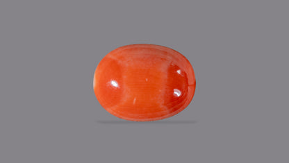 Japanese Red Coral (Moonga) 7.50 Carats