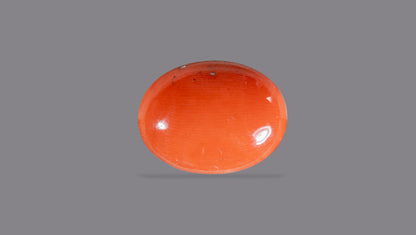 Japanese Red Coral (Moonga) 8.40 Carats