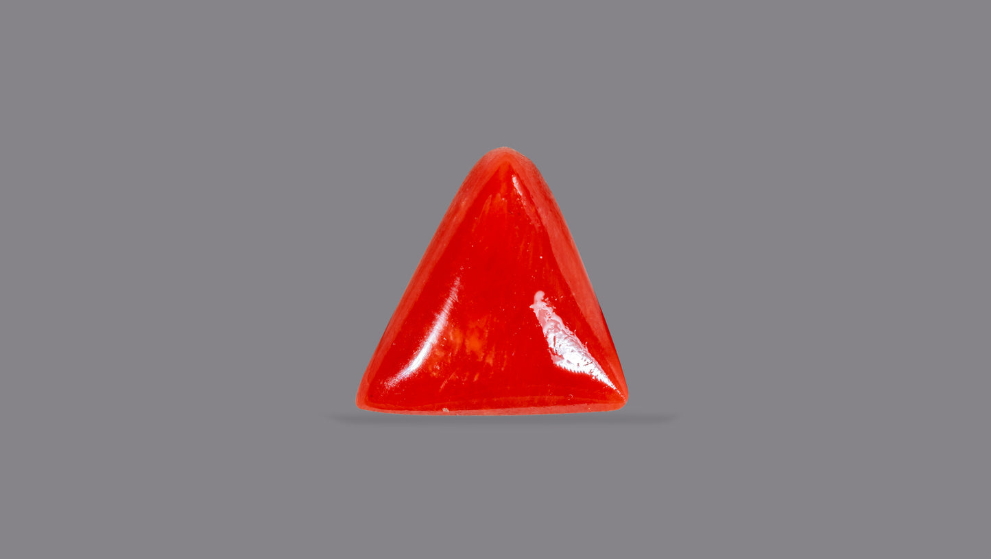 Natural Italian Red Coral (Moonga) 5.21 Carats