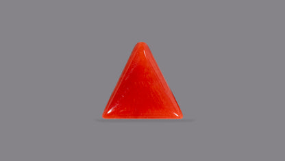 NATURAL RED CORAL (Moonga) 5.93 CARATS