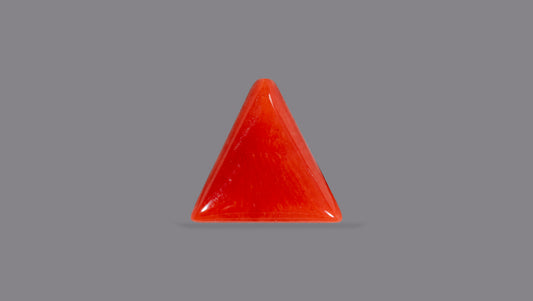 NATURAL RED CORAL (Moonga) 5.93 CARATS