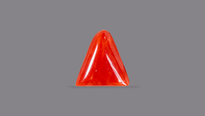 Natural Italian Red Coral (Moonga) 6.04 Carats