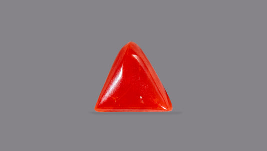 NATURAL RED CORAL (Moonga) 4.99 CARATS