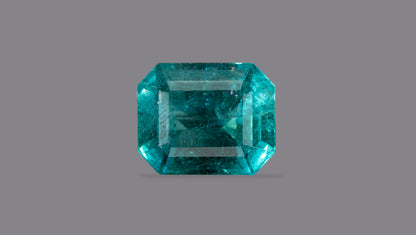 Natural Zambian Emerald (Panna) 8.78 Carats