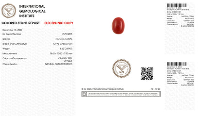 Japanese Red Coral (Moonga) 8.62 Carats