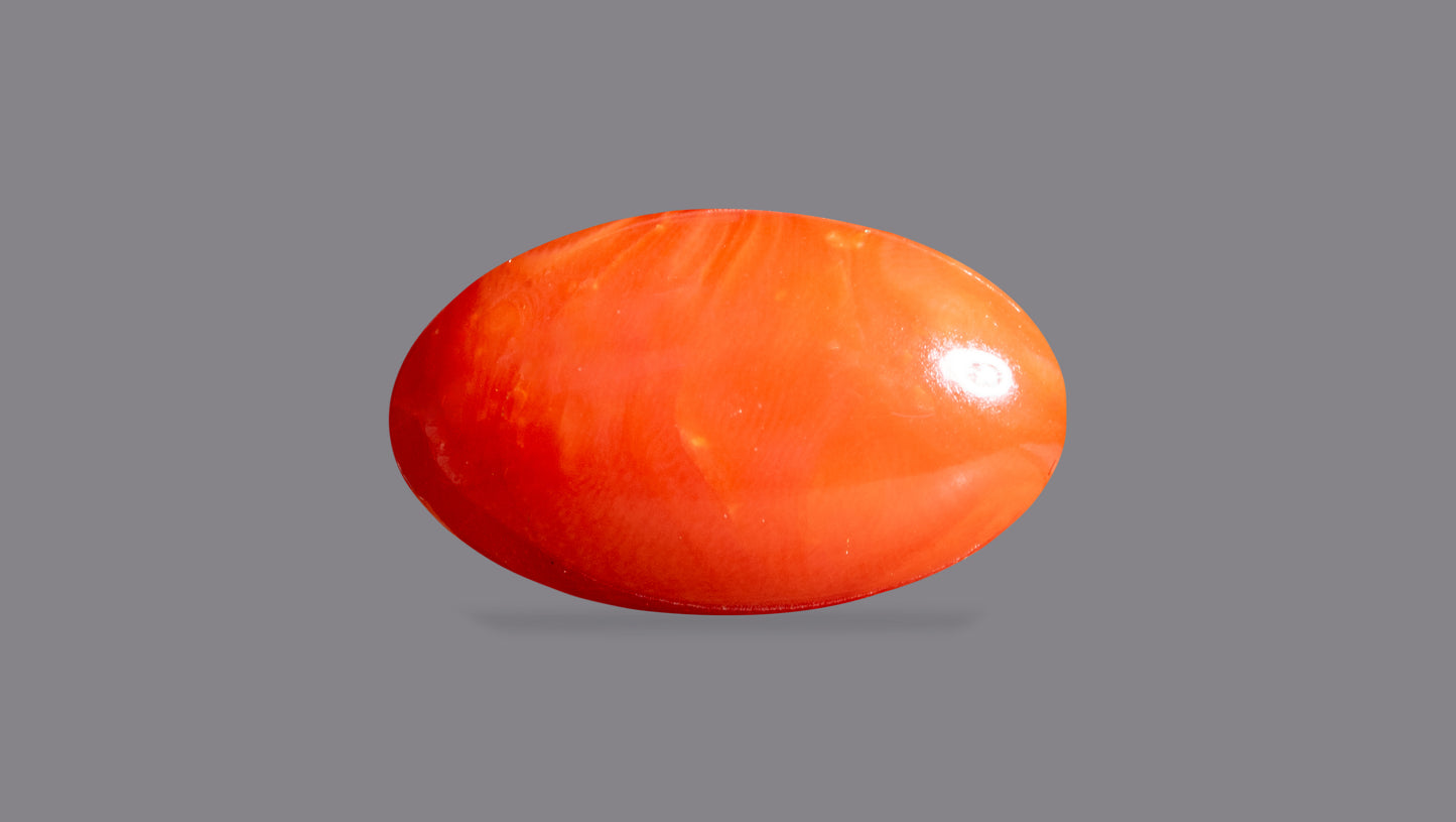 Japanese Red Coral (Moonga) 7.20 Carats