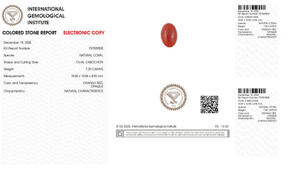 Japanese Red Coral (Moonga) 7.20 Carats
