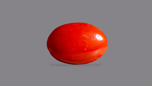 Japanese Red Coral (Moonga) 5.05 Carats