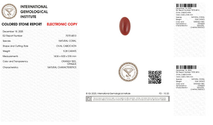 Japanese Red Coral (Moonga) 5.28 Carats