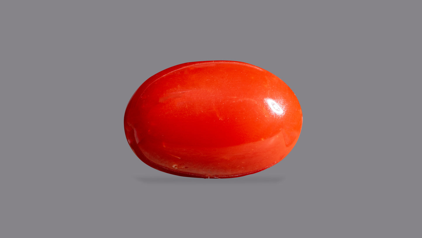 Japanese Red Coral (Moonga) 6.75 Carats