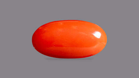 Japanese Red Coral (Moonga) 6.44 Carats