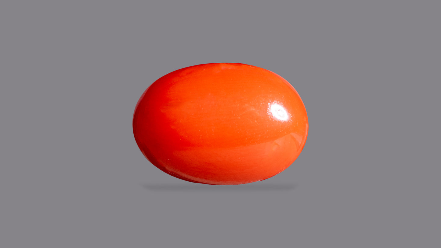 Japanese Red Coral (Moonga) 6.00 Carats