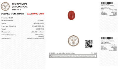 Japanese Red Coral (Moonga) 6.00 Carats