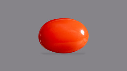 Japanese Red Coral (Moonga) 6.26 Carats