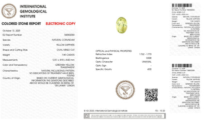 Natural Yellow Sapphire (Pukhraj) 7.89 Carats