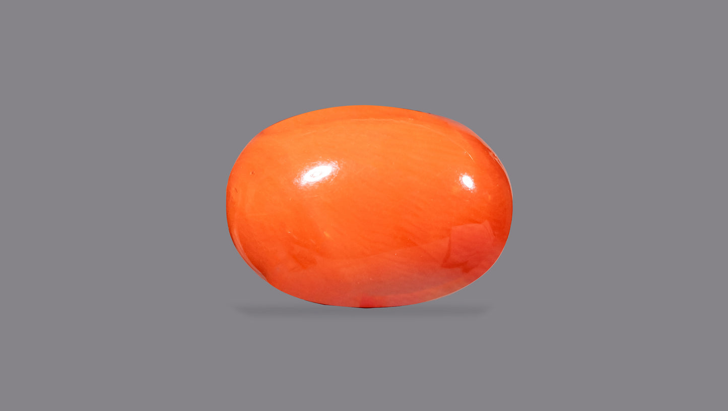 Natural Italian Red Coral (Moonga) 7.88 Carats