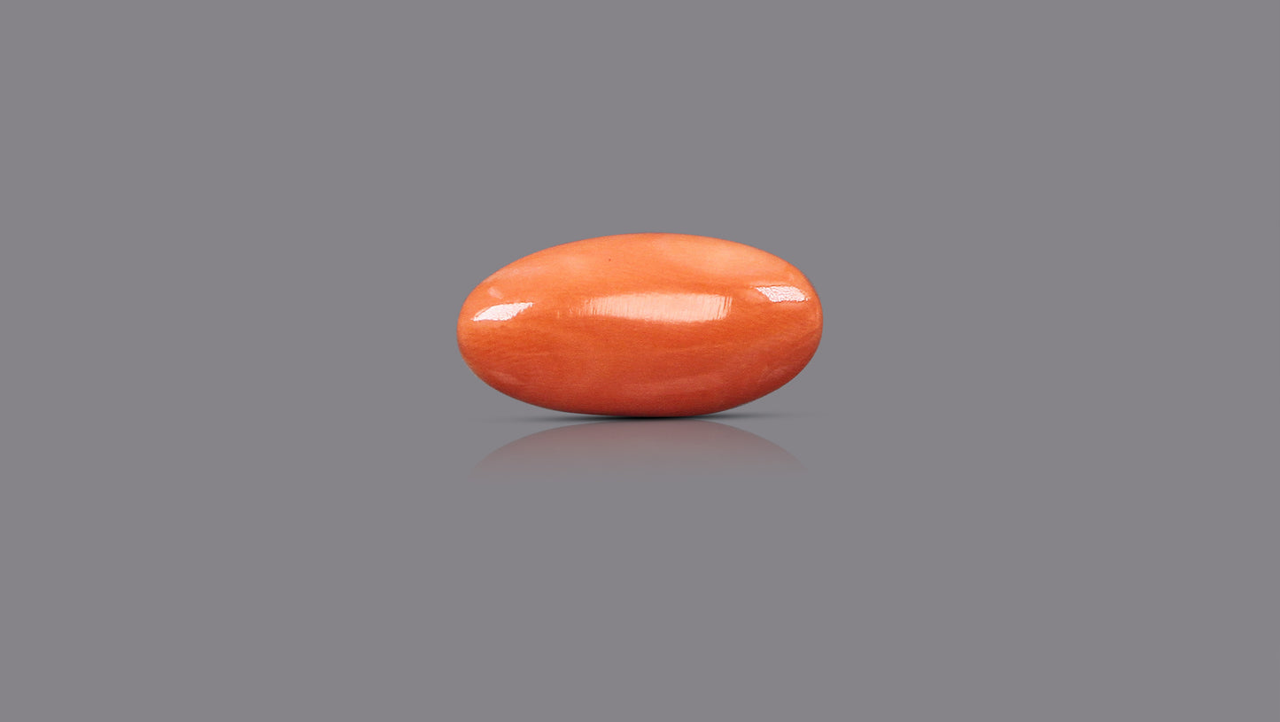 Japanese Red Coral (Moonga) 7.09 Carats