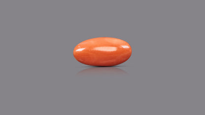 Japanese Red Coral (Moonga) 7.09 Carats