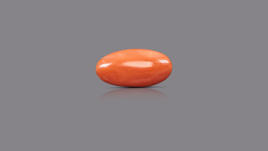 Japanese Red Coral (Moonga) 7.09 Carats