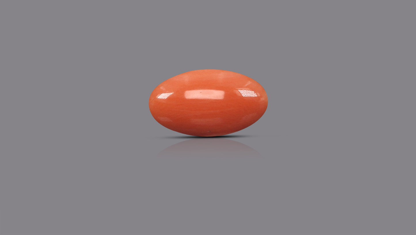 Japanese Red Coral (Moonga) 6.81 Carats