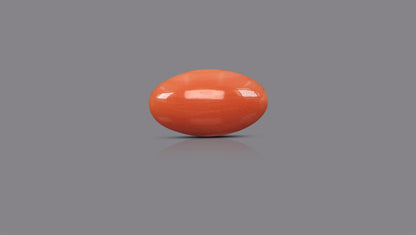Japanese Red Coral (Moonga) 6.81 Carats