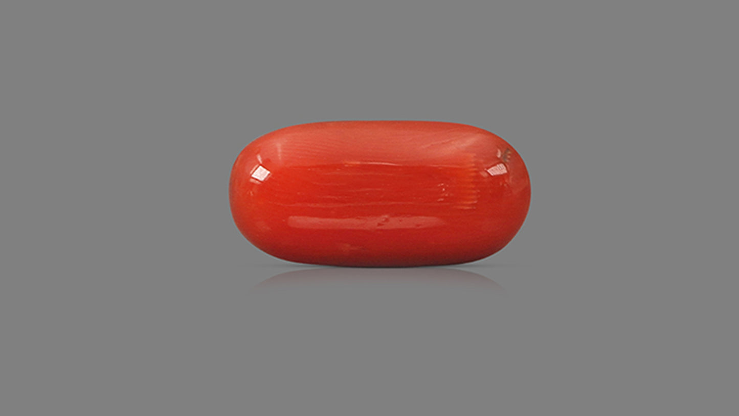 Natural Italian Red Coral (Moonga) 14.19 Carats