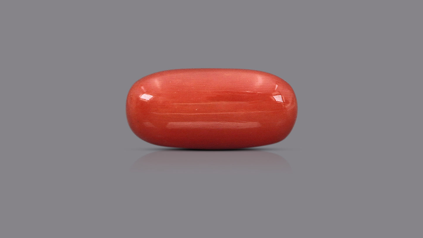 Natural Italian Red Coral (Moonga) 15.82 Carats
