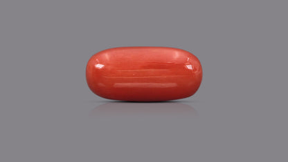 Natural Italian Red Coral (Moonga) 15.82 Carats