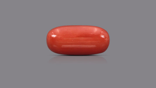 Natural Italian Red Coral (Moonga) 15.82 Carats