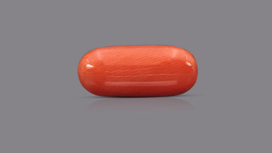 Natural Italian Red Coral (Moonga) 9.16 Carats