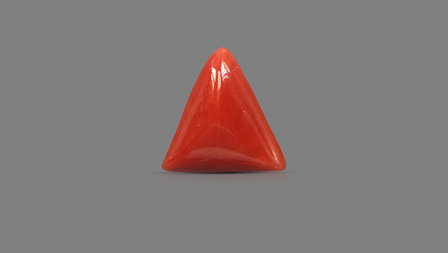 Natural Italian Red Coral (Moonga) 5.72 Carats