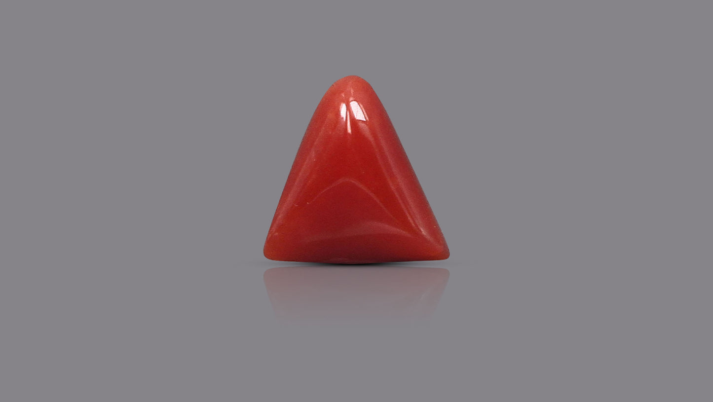 Natural Italian Red Coral (Moonga) 6.31 Carats
