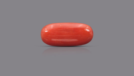 Natural Italian Red Coral (Moonga) 12.45 Carats
