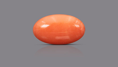 Japanese Red Coral (Moonga) 10.53 Carats