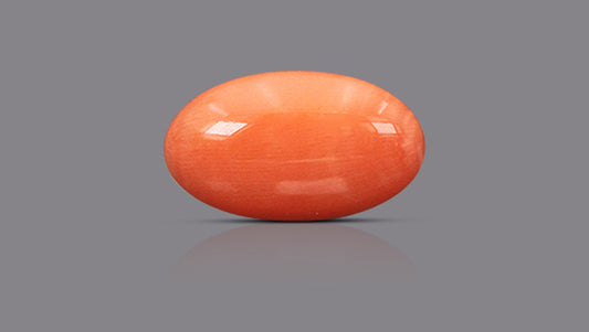 Japanese Red Coral (Moonga) 10.53 Carats
