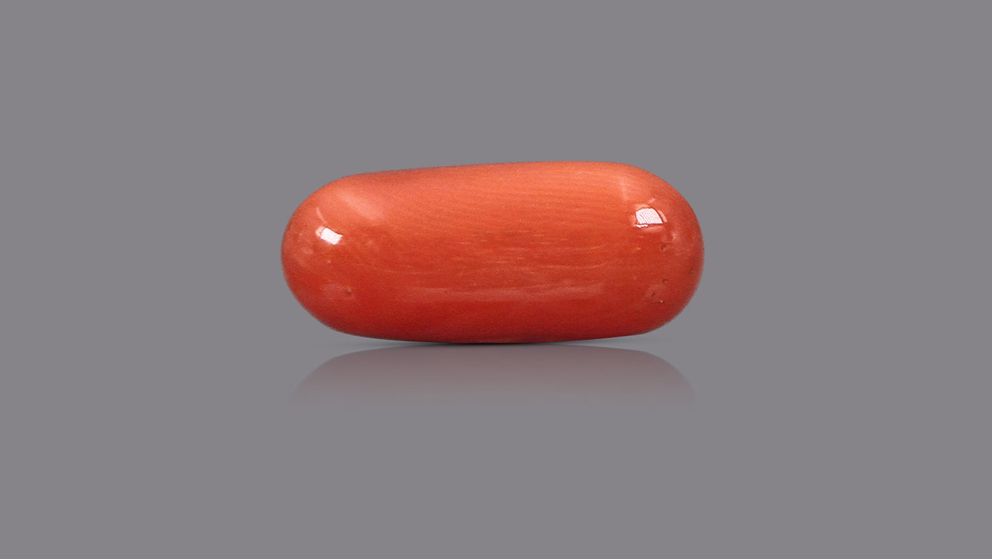 Natural Italian Red Coral (Moonga) 9.72 Carats