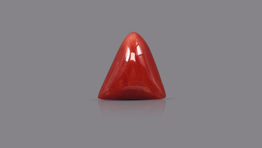 Natural Italian Red Coral (Moonga) 5.83 Carats
