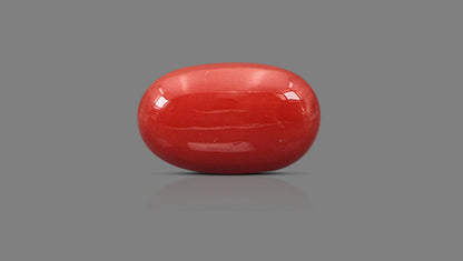 Natural Italian Red Coral (Moonga) 10.46 Carats
