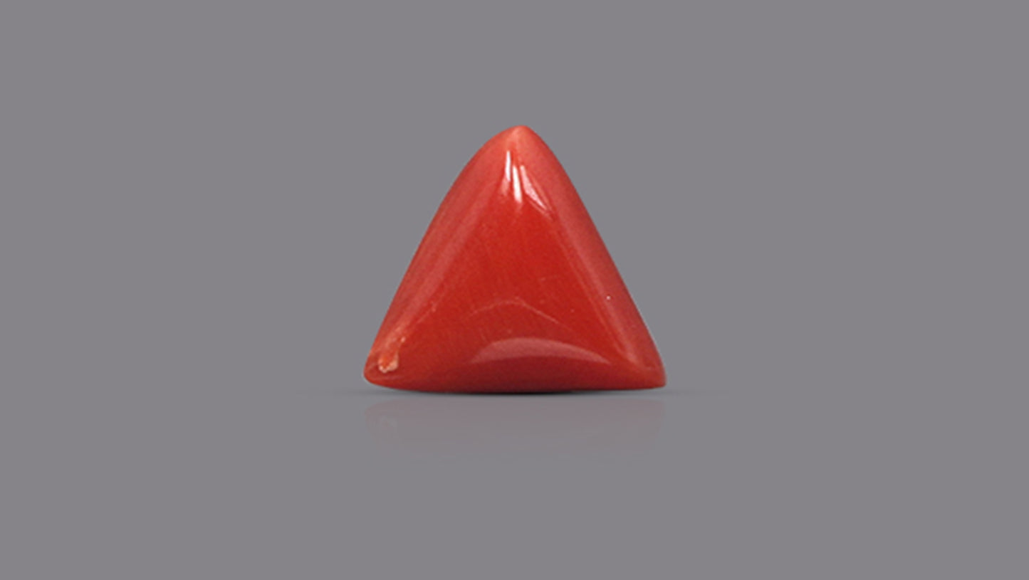 Natural Italian Red Coral (Moonga) 5.74 Carats