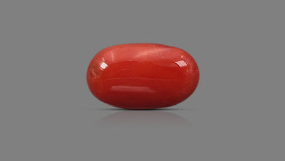 Natural Italian Red Coral (Moonga) 8.02 Carats