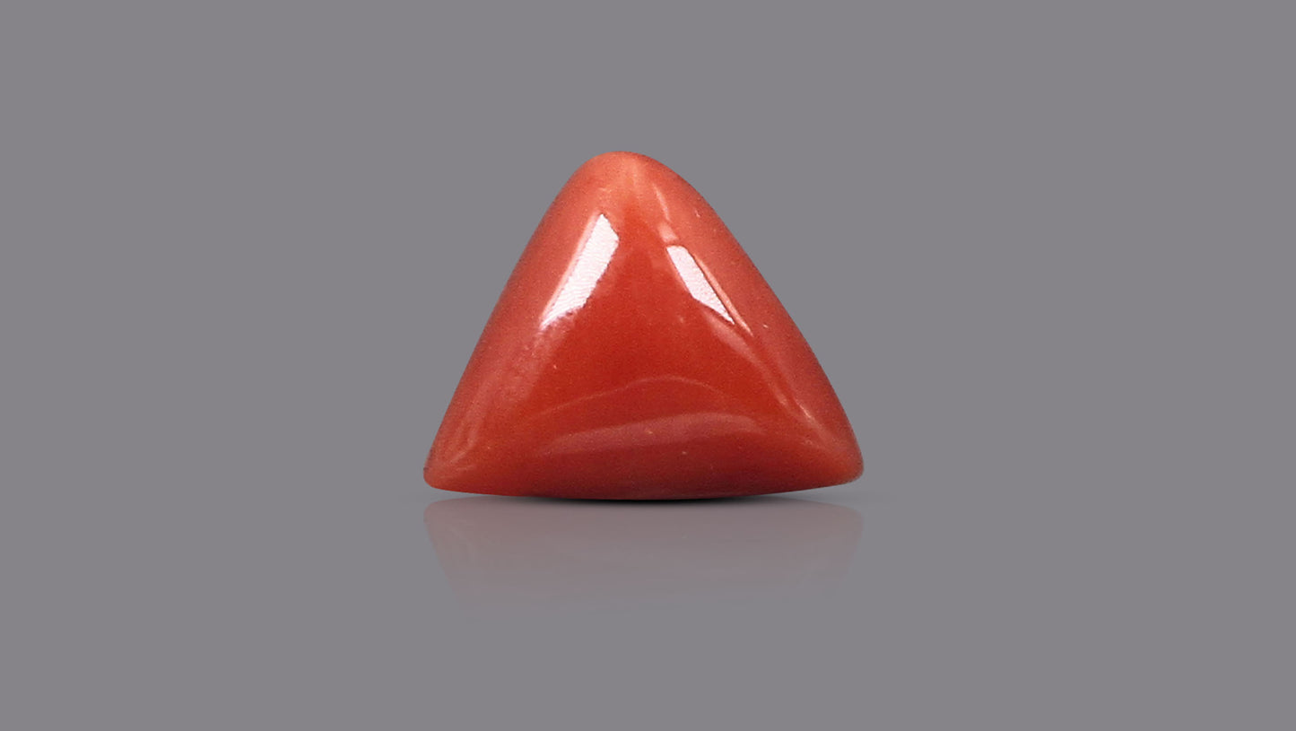 Natural Italian Red Coral (Moonga) 5.92 Carats