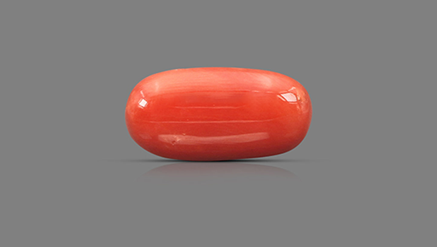 Natural Italian Red Coral (Moonga) 8.64 Carats