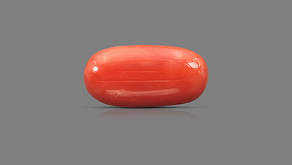 Natural Italian Red Coral (Moonga) 8.64 Carats